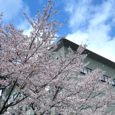 京都伝統工芸大学校 入学式に参列しました